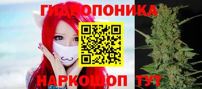 ГАЛЛЮЦИНОГЕННЫЕ ГРИБЫ Тулун