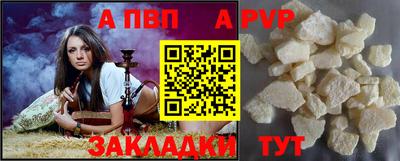 стаф Тула